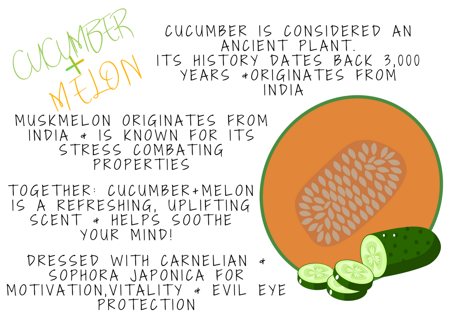 CUCUMBER + MELON | Dried Sophora Japonica | Carnelian Crystal Chips